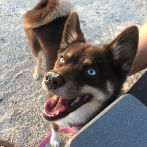 Meet your Posher, Christina